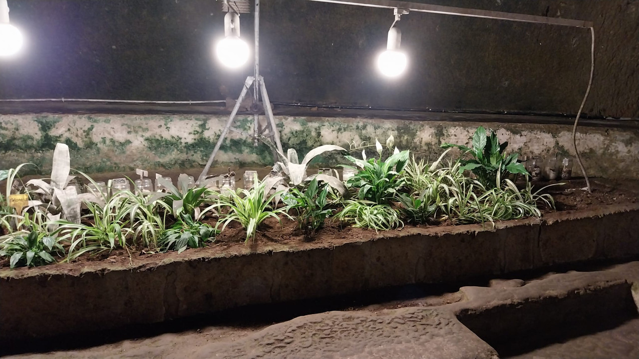 WhatsApp Image 2023-10-12 at 21.12.01 (3)