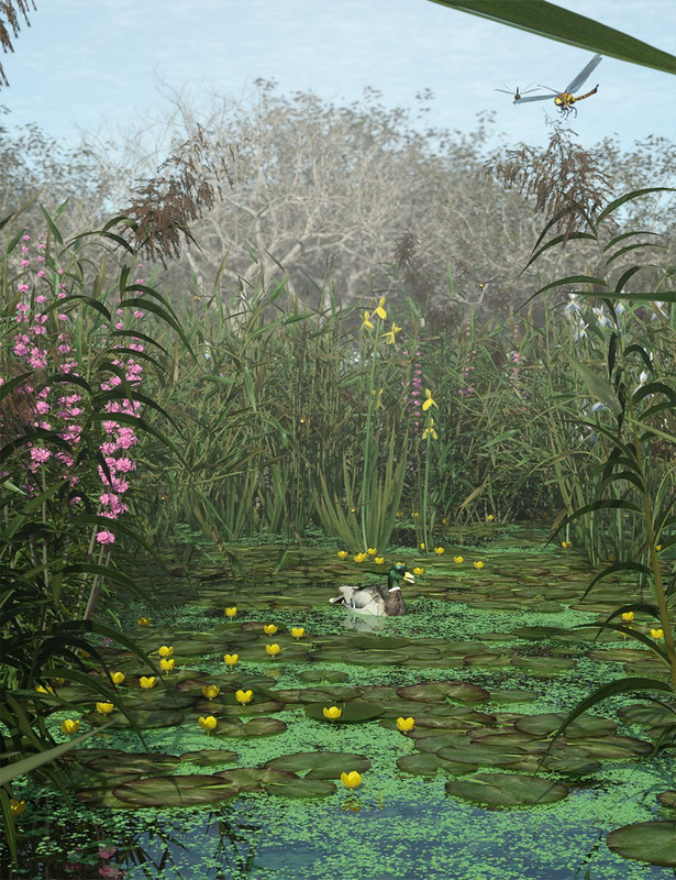 wetlands low res plants for vol 2 flowering plants 00 main daz3d