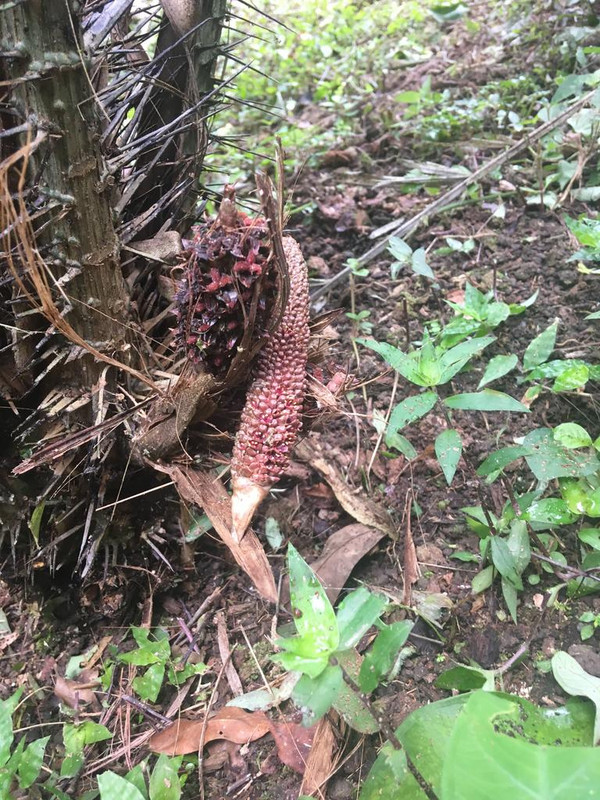 B4D750B5-76BF-4A29-826D-D8C6A4DEDB8F