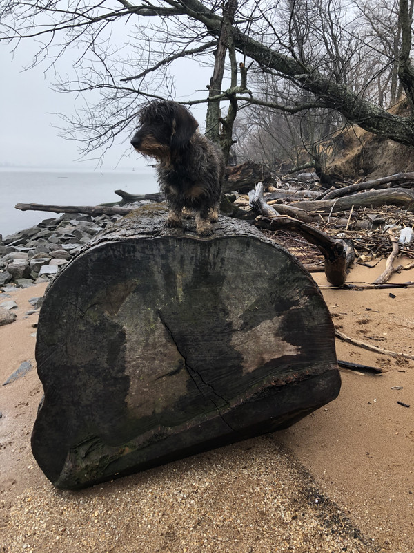 FF9B9493-3B79-42D2-8248-983D27996A69