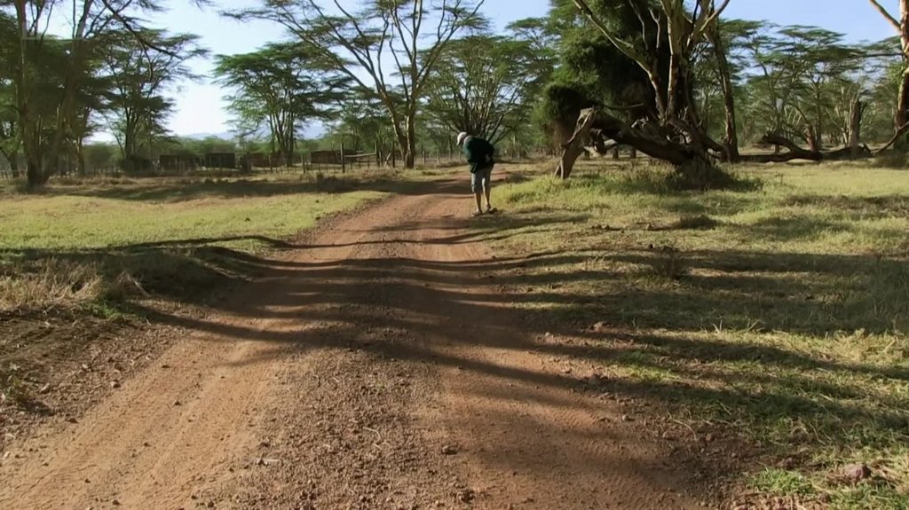 [Image: dpr1tqf35cw3.jpg]