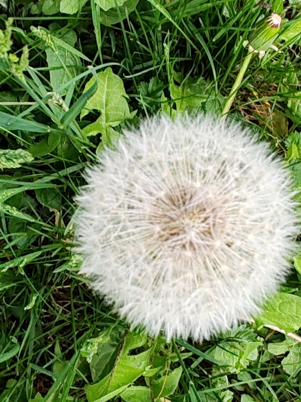 IMG 20260413 190354 1