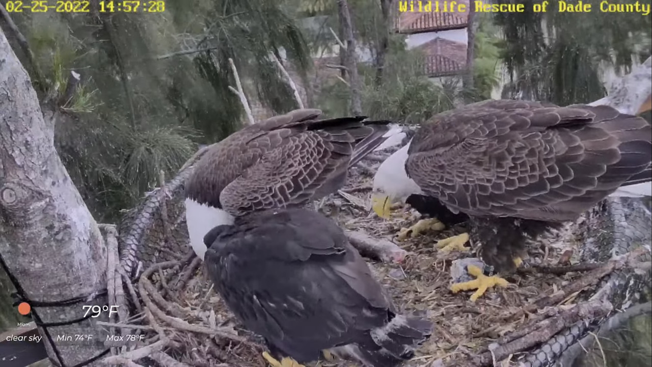 0A4CBC38-322E-45EB-9832-EC20D91DD131