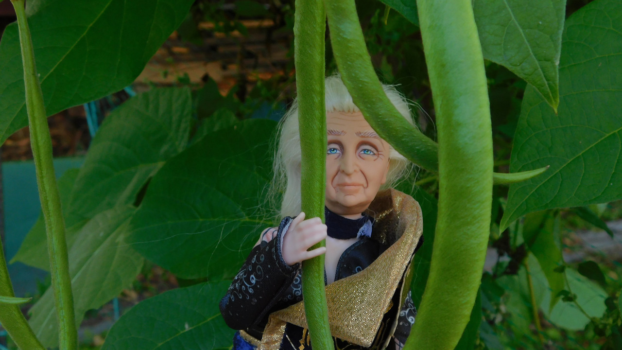 Дачное и  к Хелл сентябрь 2023 123