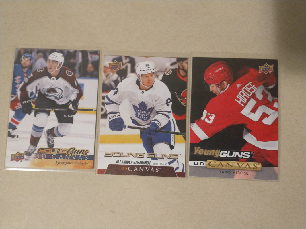 IMG_20241015_132445904