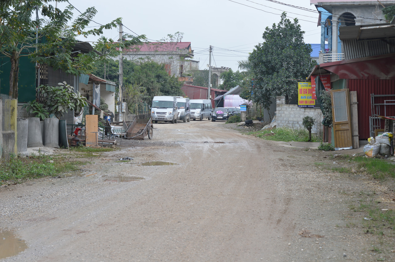 DSC 0669