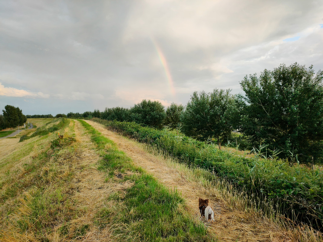 Lumii_20210725_211306596