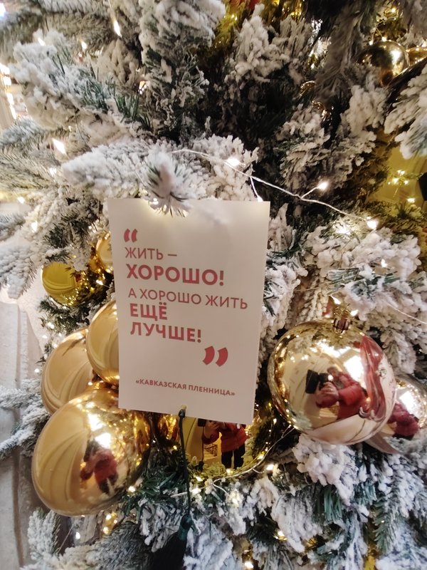 https://i.postimg.cc/mZz2jBjw/040-IMG-20241203-110054.jpg