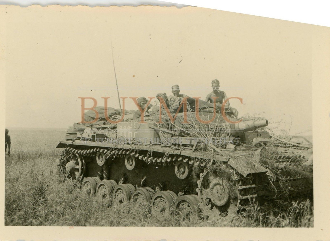 Foto Panzer Sturmgeschütz Artillerie Kurzrohr getarnt Äste Panze