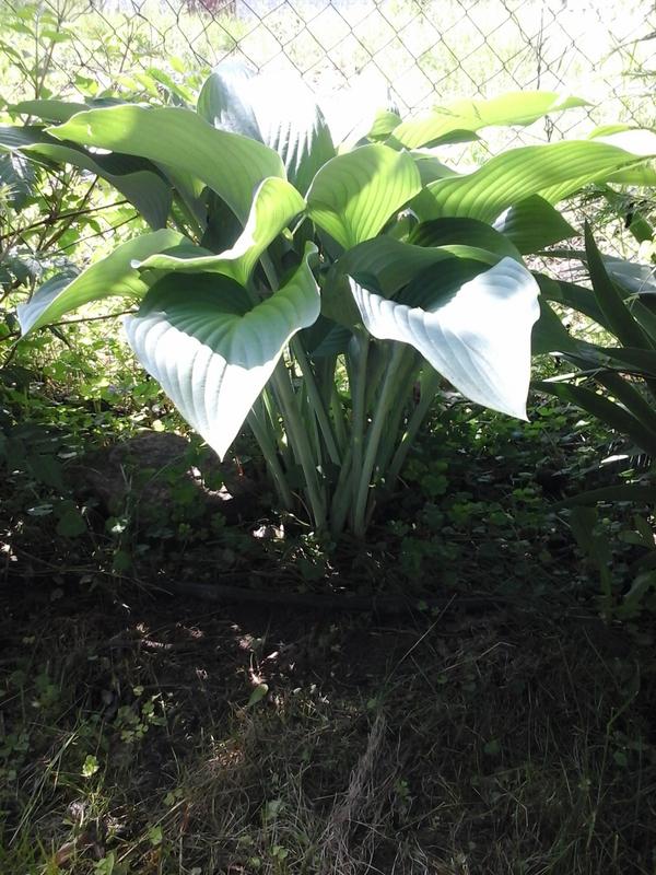 20190527_152546