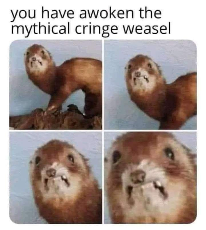 cringe-weasel.jpg