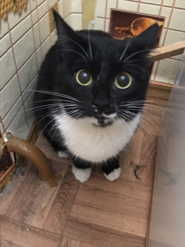 2FBB684B-AAD1-446F-AE7A-5B6118FC309B