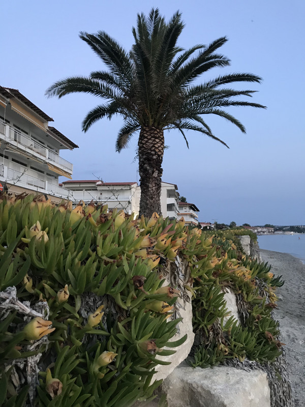 A8E349A2-A825-426C-BB6C-FA9C660EF8E2