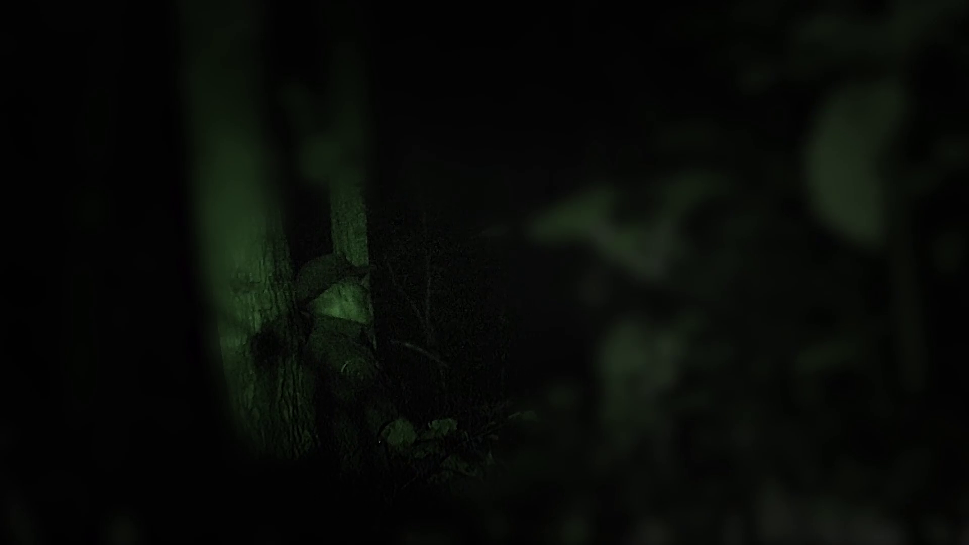 rv2d28rg8u.png