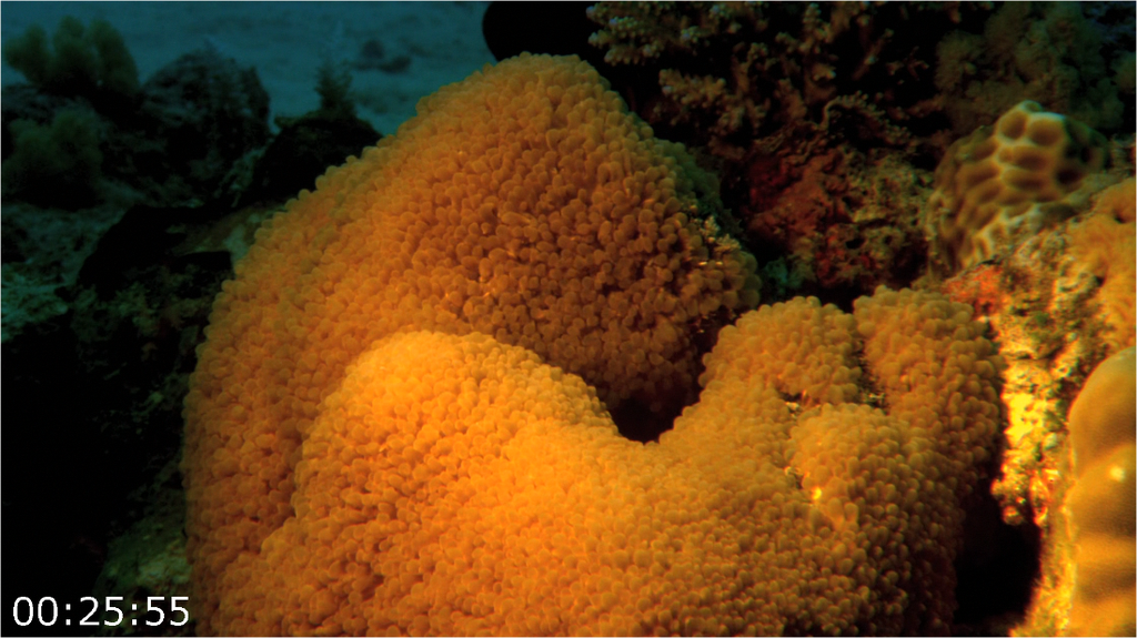 [Image: 5ptbzcbr891q.png]