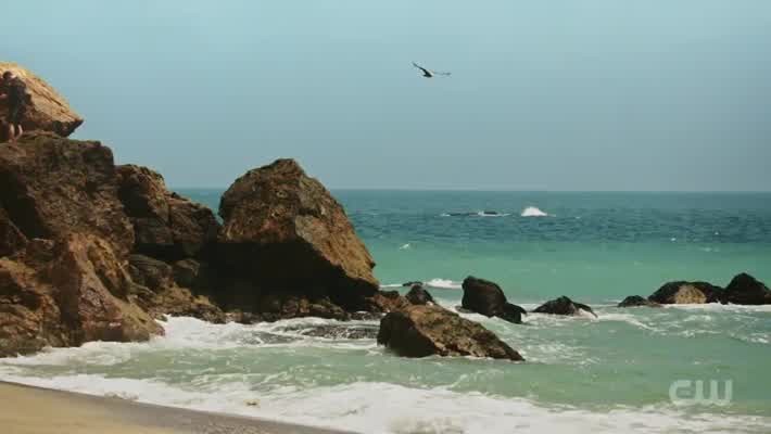 [Image: iqgk1z9jc56u.jpg]