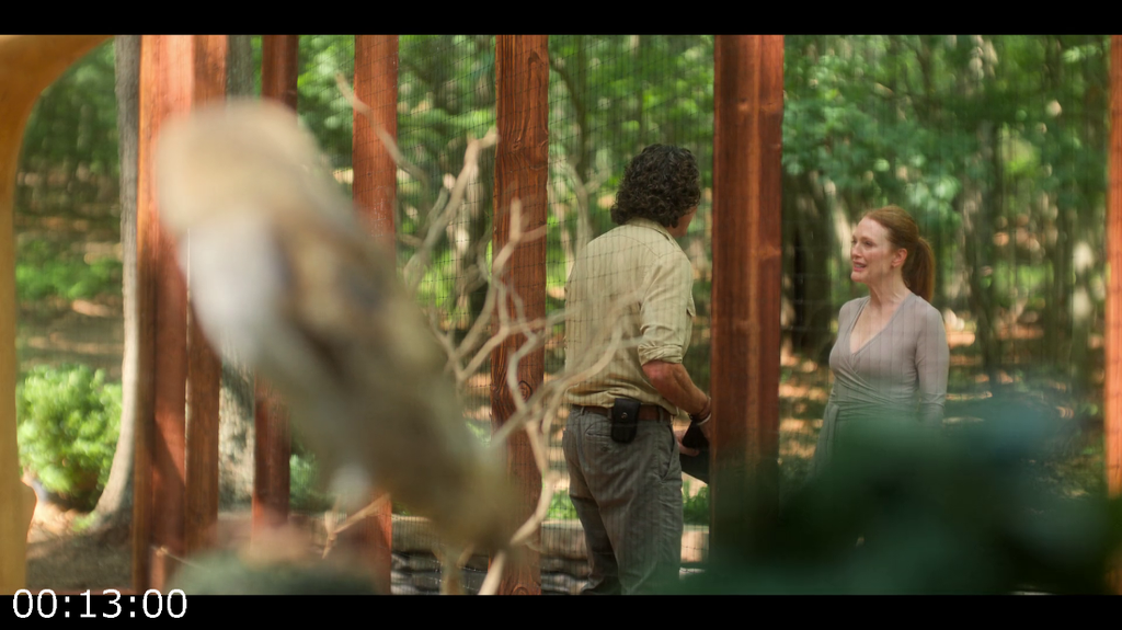 [Image: xqy7b4h7g0zx.png]