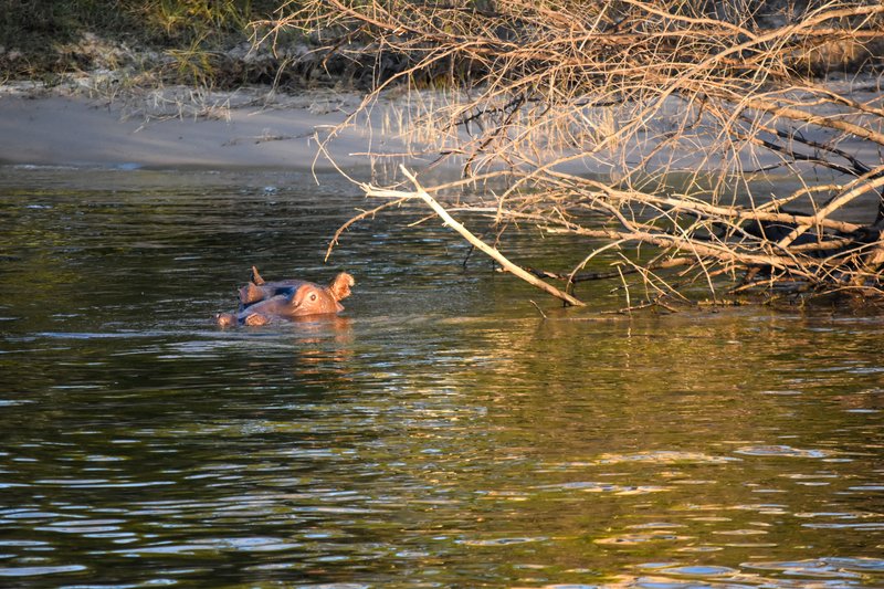Африканские каникулы - зверики Крюгера, пески Намибии, воды Виктории