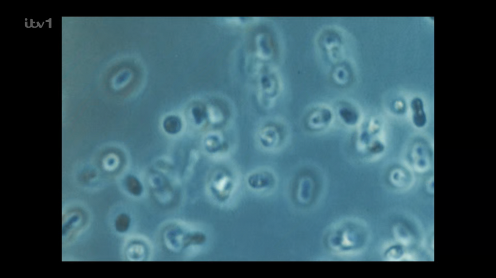 [Image: znwwsbj166r6.png]