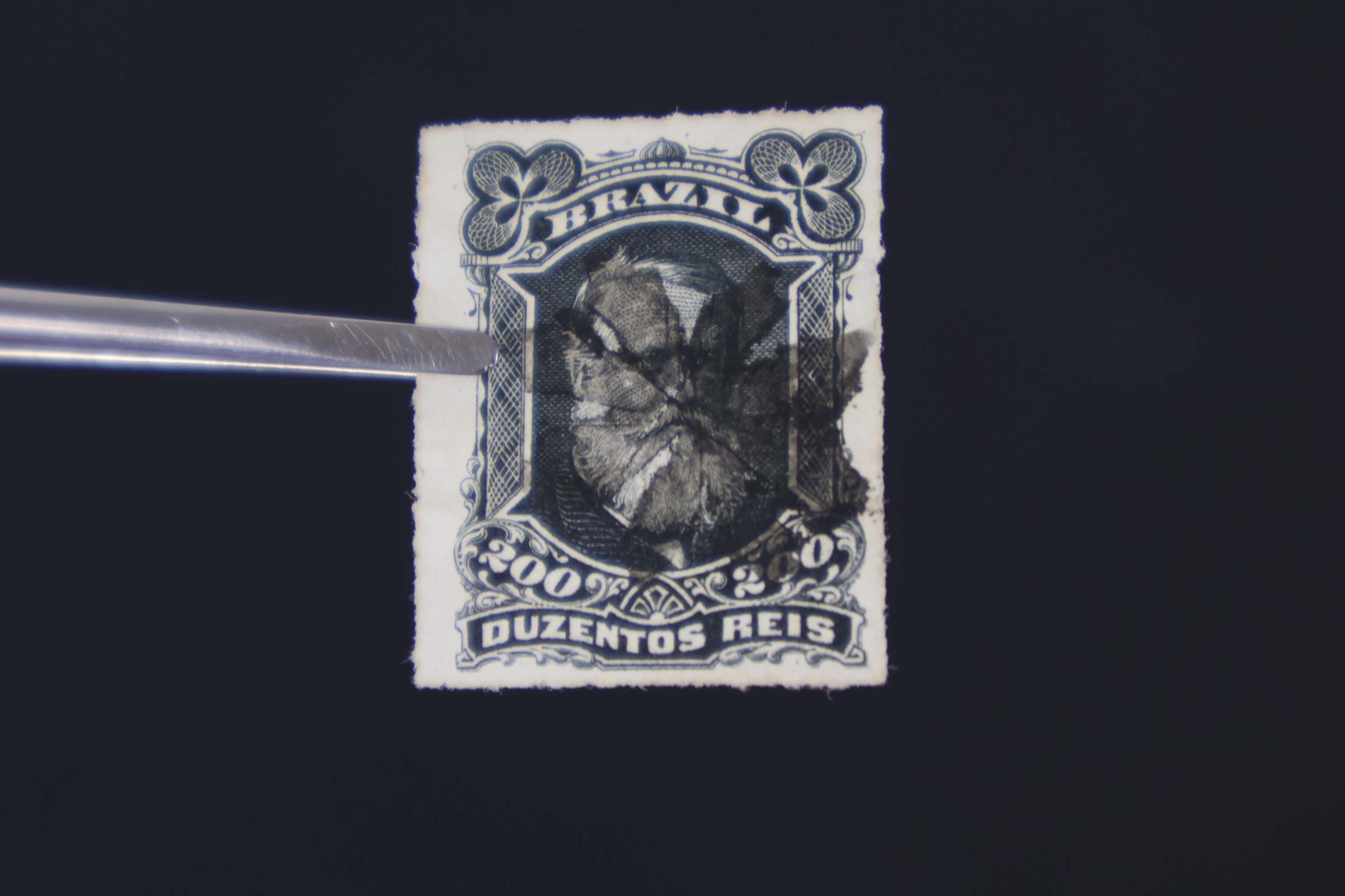 IMG-6472-1-(2)