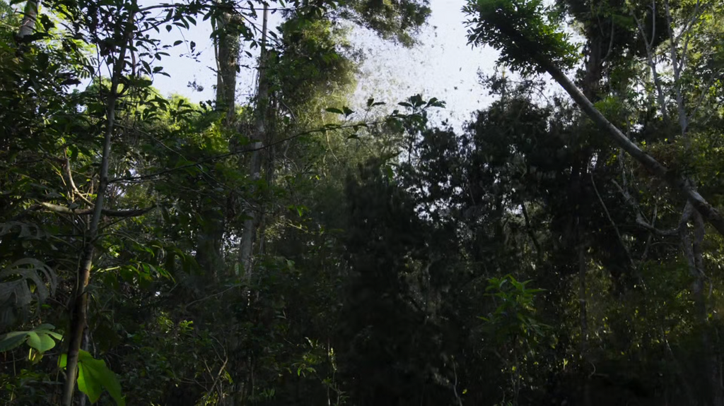 [Image: 4s1gji64fdbx.png]