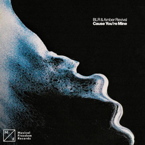 https://i.postimg.cc/mbfSC5yN/BLR-And-Amber-Revival-Cause-Youre-Mine-Extended-Mix-SINGLE-WEB-2026-AOV.jpg