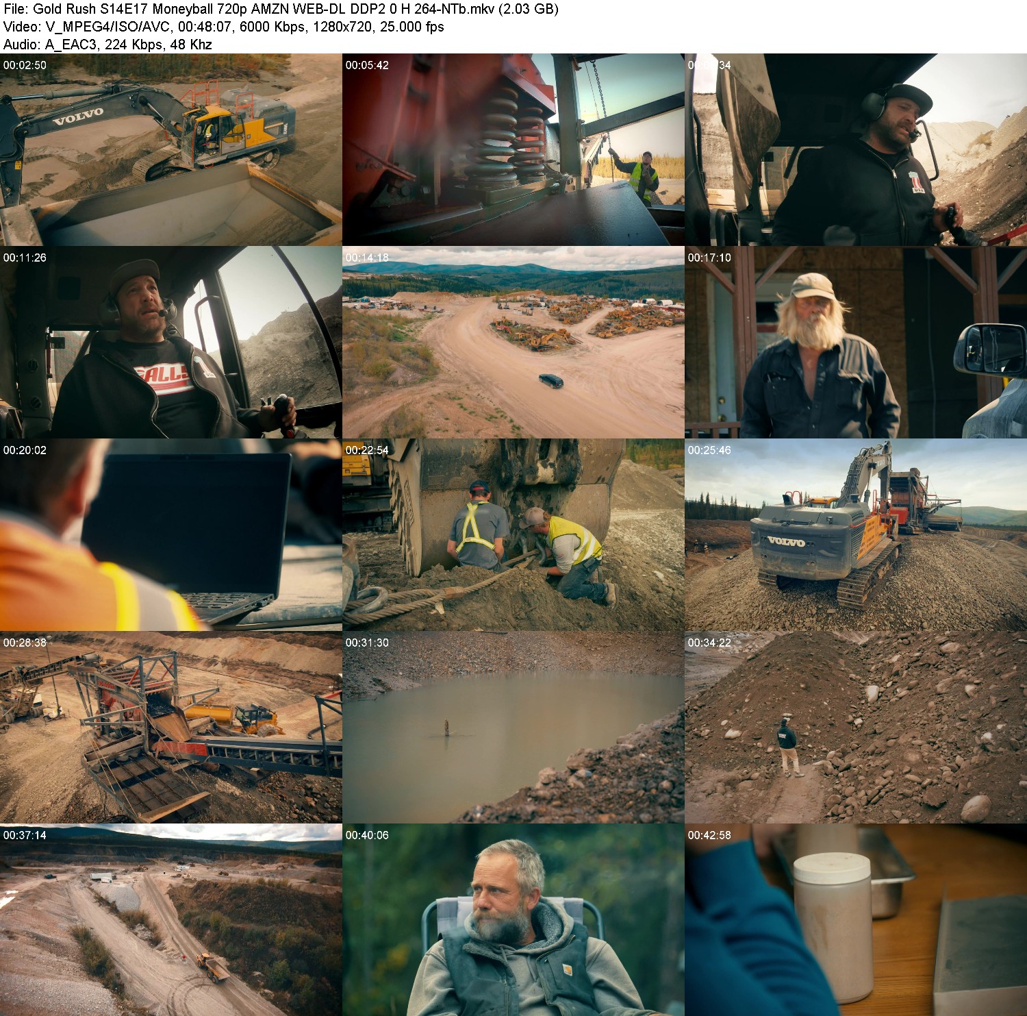 [Image: d62tzco7l1nd.jpg]