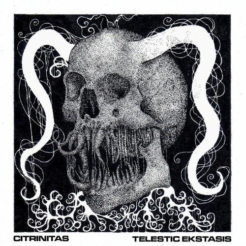 Citrinitas - Telesis Ekstasis (2026) MP3