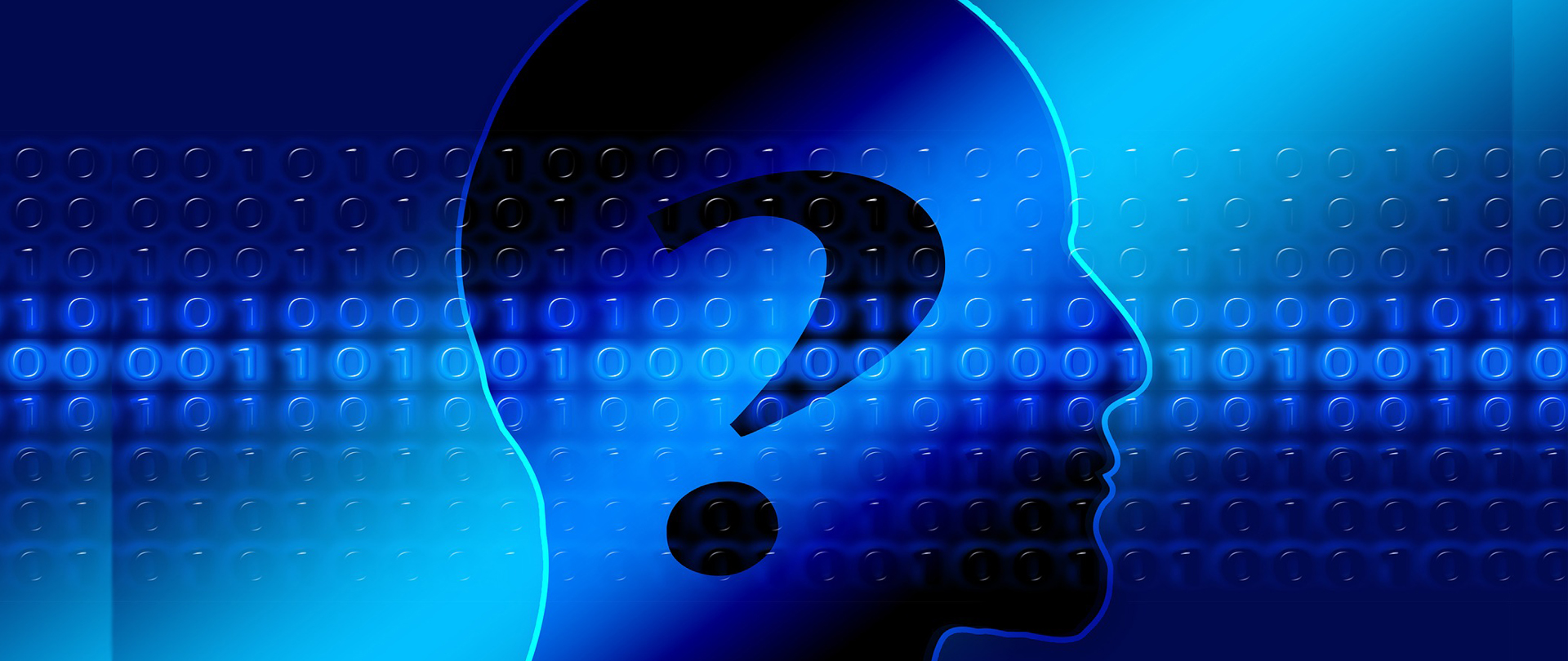 LA PROTEZIONE DEI DATI PERSONALI NEI PROVVEDIMENTI GIURISDIZIONALI PENALI