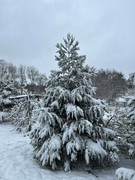 316033115_1169470220324089_5418650222494440658_n