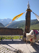 [图: 8165f168967ceee81d8d698dbdfb5390.jpg]