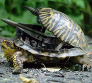 273903185_242270621440398_5040317562090134970_n