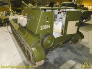 DSCN3036
