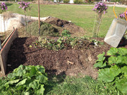 Kompostmiete Aus Drei mach Eins 3.Okt. 2015 (1)