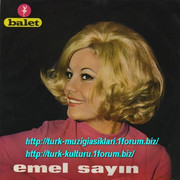 Emel-Sayin-Askin-Kanunu