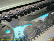 IMG-7335