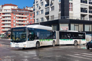 IMG-3065