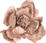 BC-ATaste-Of-Winter-El-99