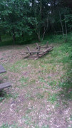 20190530-080057.jpg