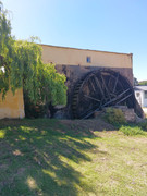 IMG-20241031-144305