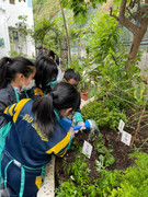 photo-20211123-iherbalgarden-001