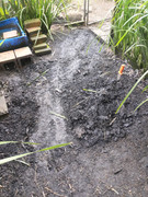 IMG_20221008_123940_Erased