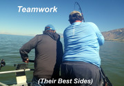 [Image: TEAMWORK.jpg]