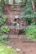 IMG-0467