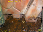 T-34-76-Sholokhovo-161