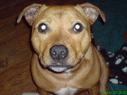 DSC00072.jpg
