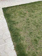 9A0BCF95-DF81-48E5-B94D-AD0A336BAC48