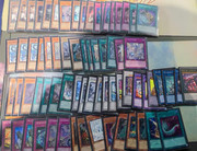 blue-eyes primite (8)