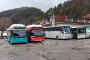 IMG-3383