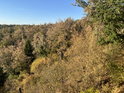IMG-6356